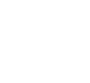 Seatgeek Logo White